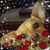 Bruce Acree's profile image