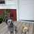 Patricia Lynn Rodgers's profile image