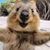 Scott Taylor's profile image