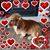 Linda Forbush's profile image