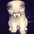 Karen Carbonell's profile image