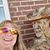 Michelle Koller's profile image