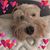 Nathalia Rivera's profile image