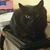 Margie Besse's profile image