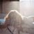 Ivana Silva Goode's profile image