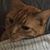 Jean McCord's profile image