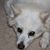 Sammy Meadors's profile image