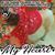 Connie Cauchon's profile image