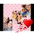 Mirna Flores's profile image