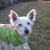 Elaine Wilson's profile image