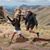 Kelli Hester Stoup's profile image