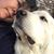 Tanya Walsh's profile image