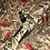Jason Cameron's profile image