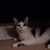 Sandra Vornlocker's profile image