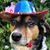 Deanna DeMichael Lack's profile image