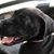 Jennifer Gascon Conway's profile image