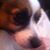 Roz Marshall's profile image