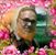 Md Alam's profile image