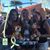 Renee Teti Reavy's profile image