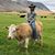 Abby Estes's profile image