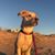 Candy Klena McClernan's profile image