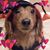 Marie Agin's profile image
