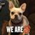 Fredericka Carlile's profile image