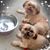 Ludy Moreno's profile image