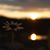 Sue Musselman-Kulick's profile image
