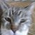 Sheri Moore's profile image