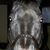 John Edwards's profile image