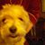 Sandy Tabbutt Estheimer's profile image