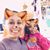 Sandra Gallegos's profile image