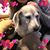 Bernadette DeLuca's profile image