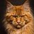 Paula Price's profile image