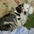 Erika L Greenman Edgar's profile image