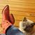 Teresa Morrison Kibodeaux's profile image