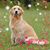 Amy Dougher's profile image