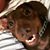 Bobby Marek's profile image