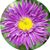 Lope Cox's profile image