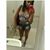 Aninhaa Santos's profile image