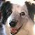 Amy Michele Lambert's profile image