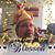 Charmaine Andrews's profile image