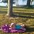 Katie Farrell's profile image