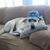 Bob Wintle's profile image