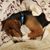 Susan Gladso's profile image