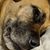 Cheryl Morton Weatherford's profile image