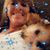 Debra Elmore's profile image