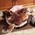 Debbie Nelson's profile image