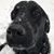 Natalie Bodine's profile image